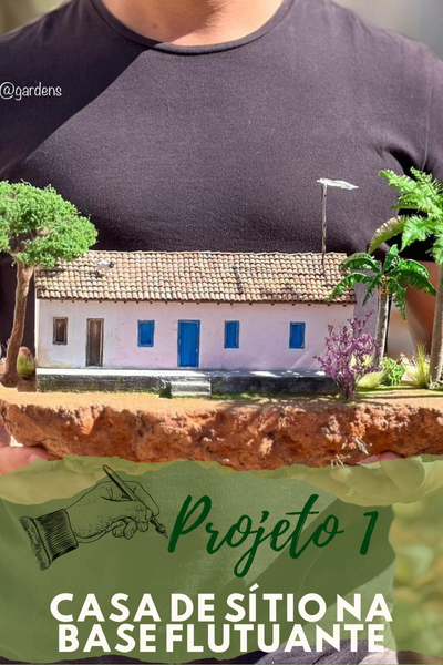 Projeto 1