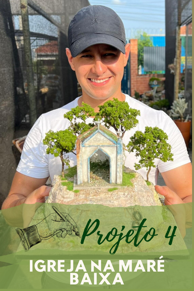 Projeto 4