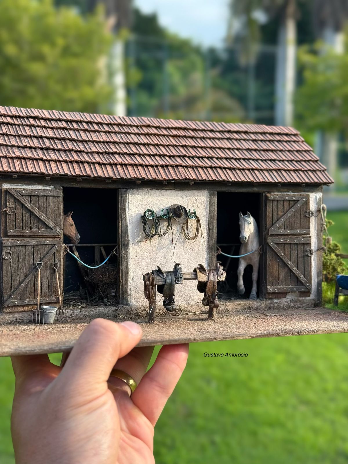 Casa com homem na janela